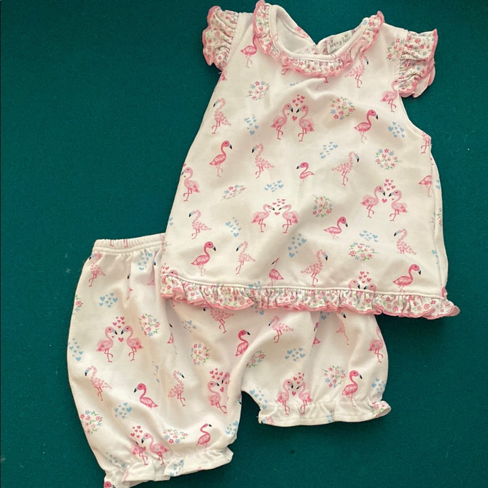 Kissy Kissy Matching Flamingo Print Baby Outfit